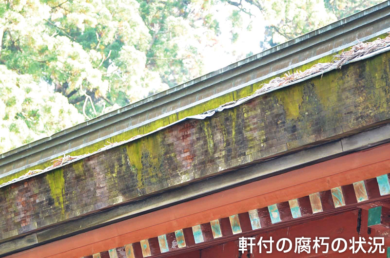 軒付の腐朽の状況