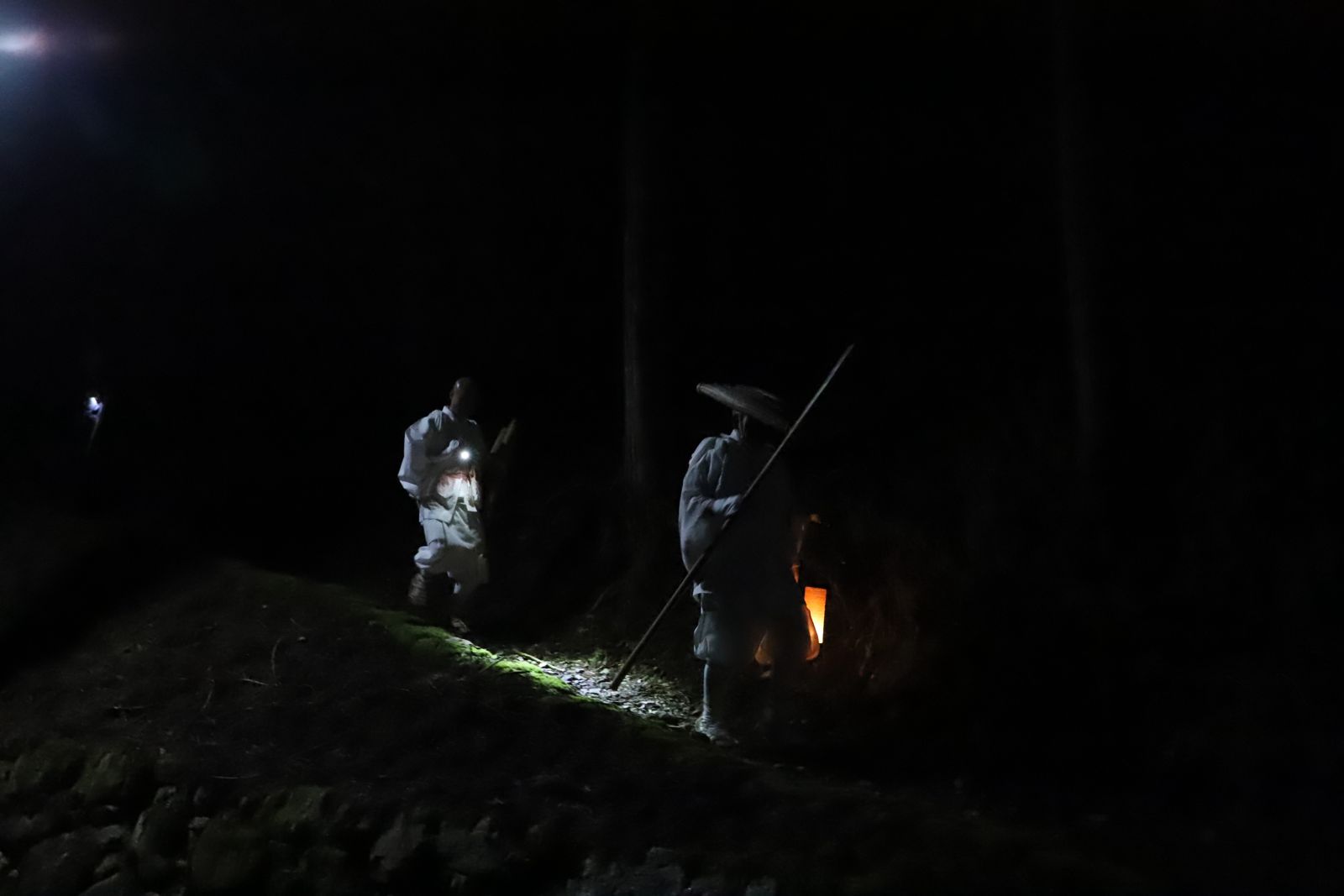 比叡の森を歩む