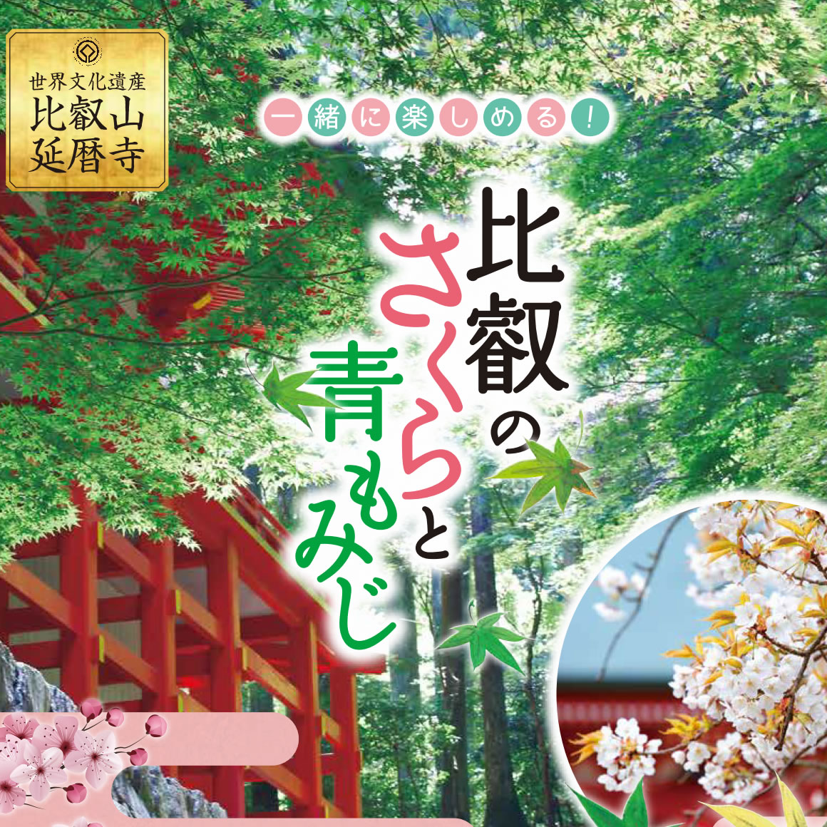 比叡のさくらと青もみじ」開催のご案内 | お知らせ | 天台宗総本山 比叡山延暦寺 [Hieizan Enryakuji]